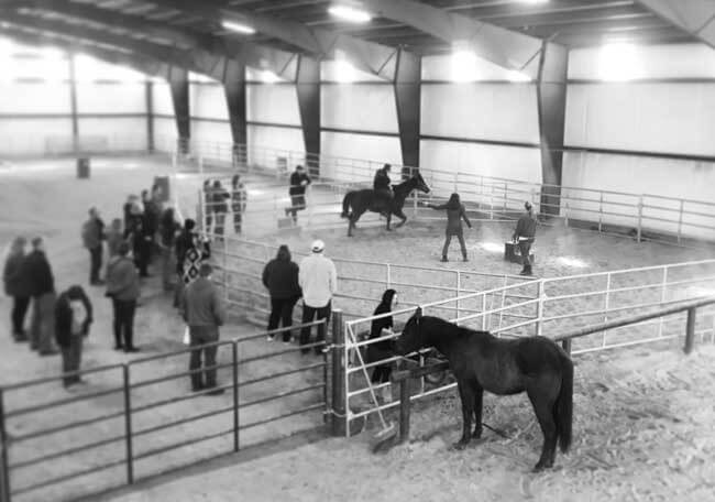 Oxbow-parent-days-arena-equine-therapy