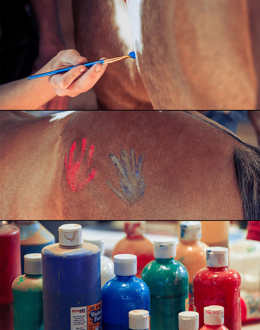 paint your pony oxbow academy