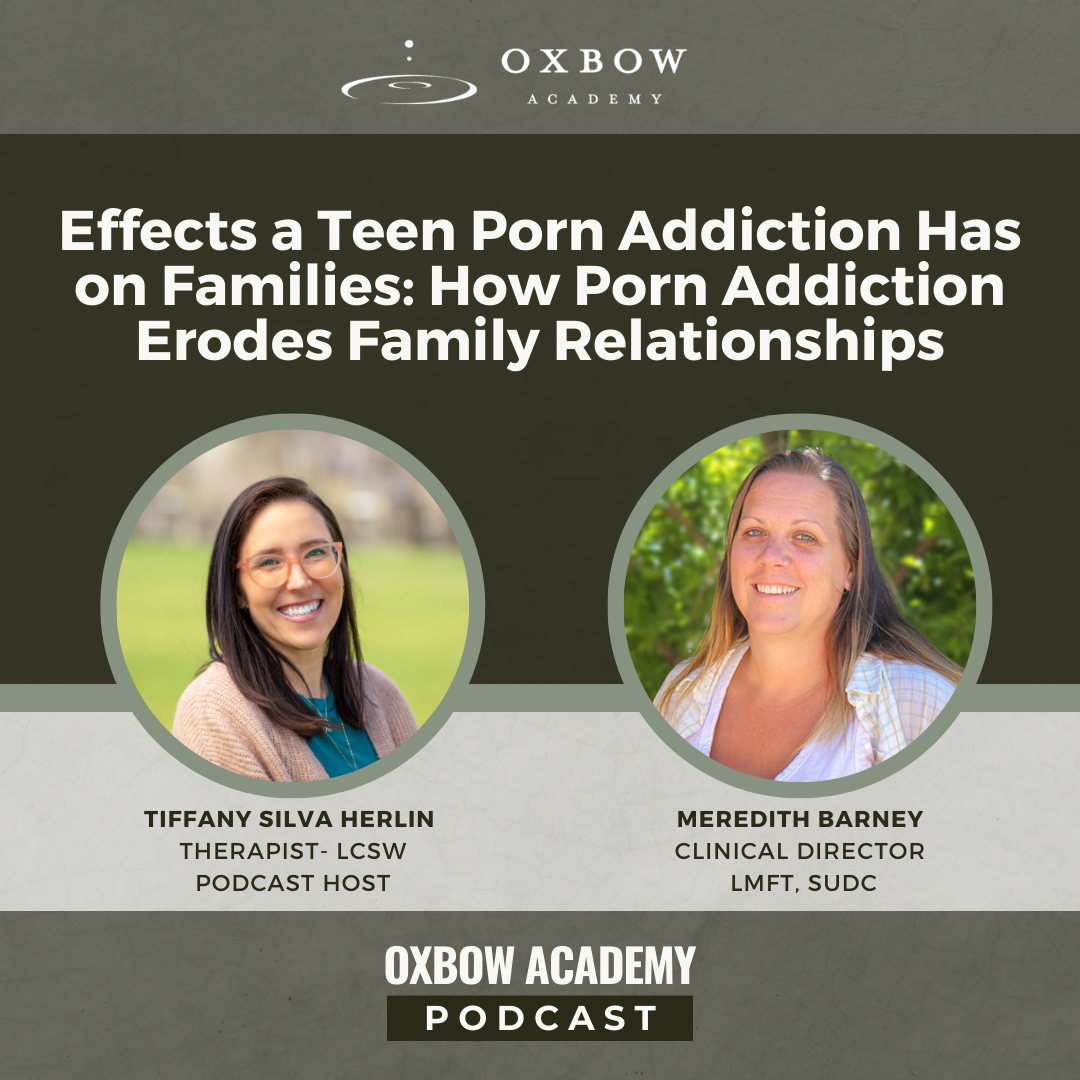 11 Effects of Porn Addiction on Teens Breaking the Cycle of Shame and Isolation