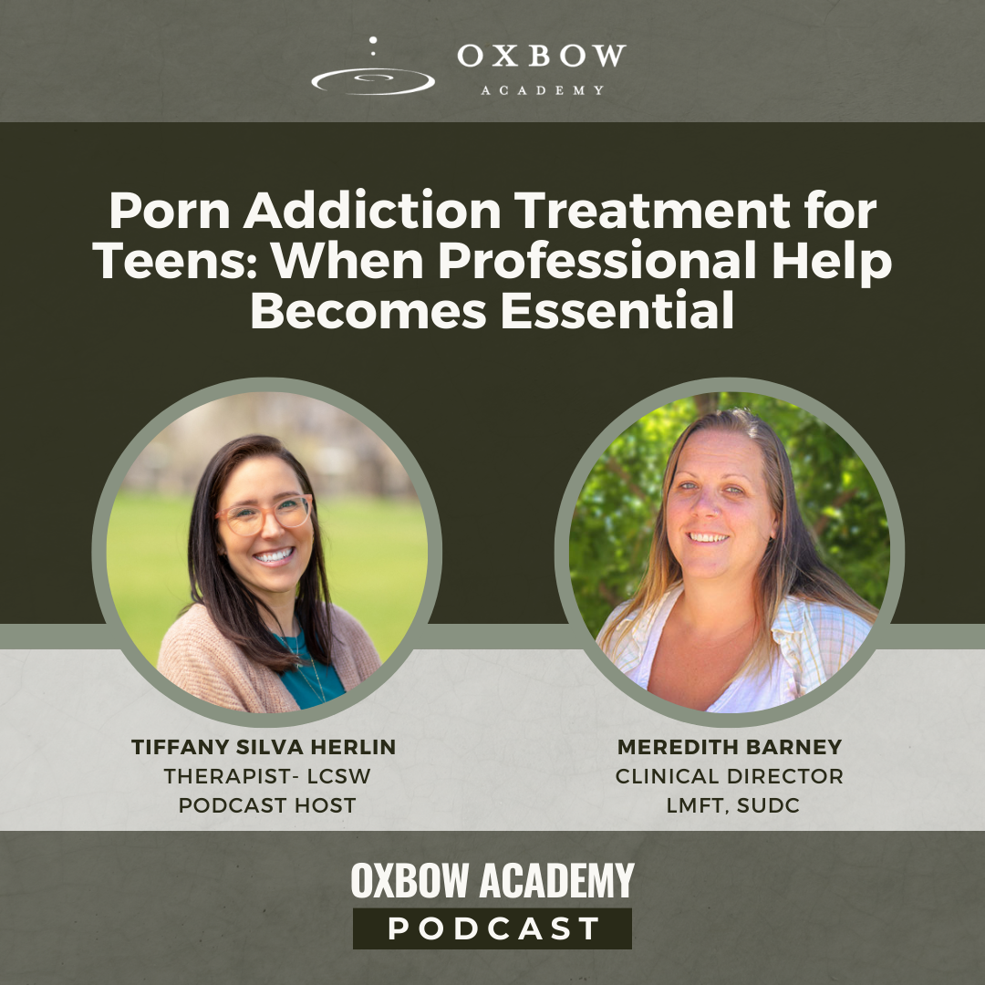 13 Porn Addiction Treatment for Teens When Professional Help Becomes Essential