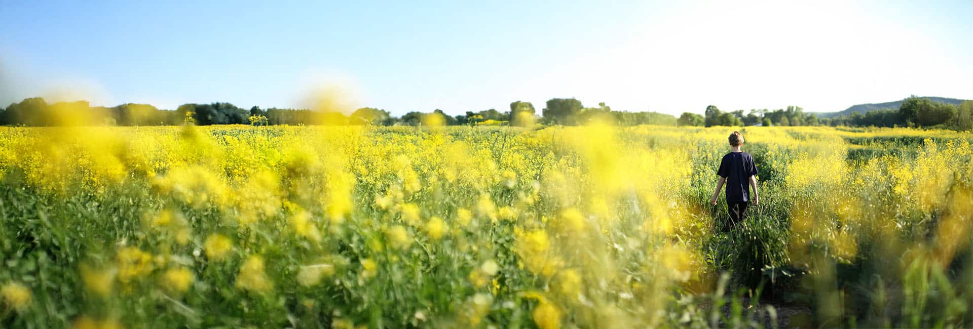 header image of a teen out in a field header image of a teen out in a field